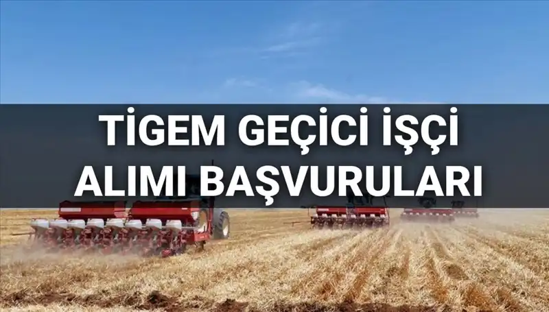TİGEM 306 Geçici İşçi Alımı 2025: Başvuru Süreci ve Şartları Neler?