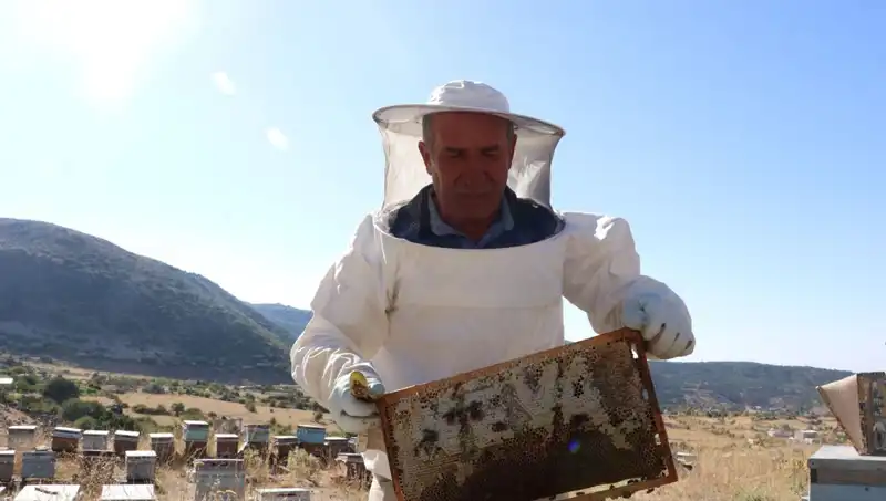 Mobilya İşi Bırakıp Tarıma Geçen Girişimcinin 25 Yıldaki Başarı Hikayesi