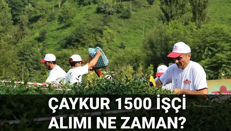 Çaykur İşçi Alımı 2023: Başvuru Tarihleri ve Süreçteki Son Gelişmeler