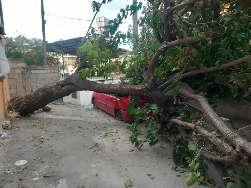 Hatay'da Dev Fırtına: Ağaçlar Uçtu, Çatıların Kaderi Değişti