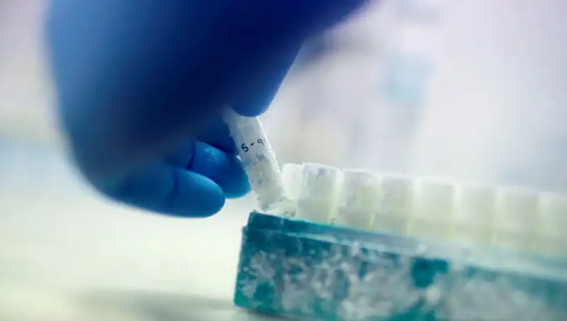 Sperm Donörlüğünde Şok Edici Skandal: 85 Donör, Binlerce Çocuğa Baba Oldu!