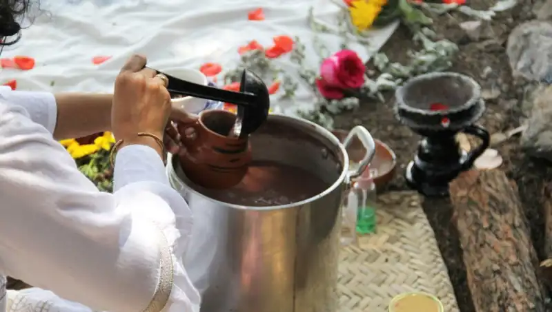Ayahuasca Nedir? Faydaları ve Yasaklılığı Üzerine Her Şey!