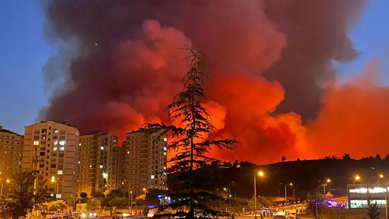 Bursa'da Yangınlar Şehri Sardı: Neler Oluyor?
