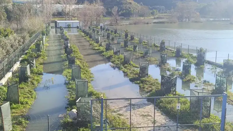 Irmak Taştı: Otoyol Şantiyesi Sular Altında Kaldı, Hayat Durma Noktasında!