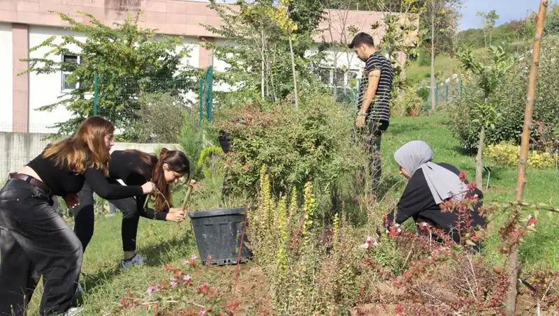 Düzce'nin Hayali Gerçek Oldu: Global Başarıyı Elde Eden Yerel Markalar