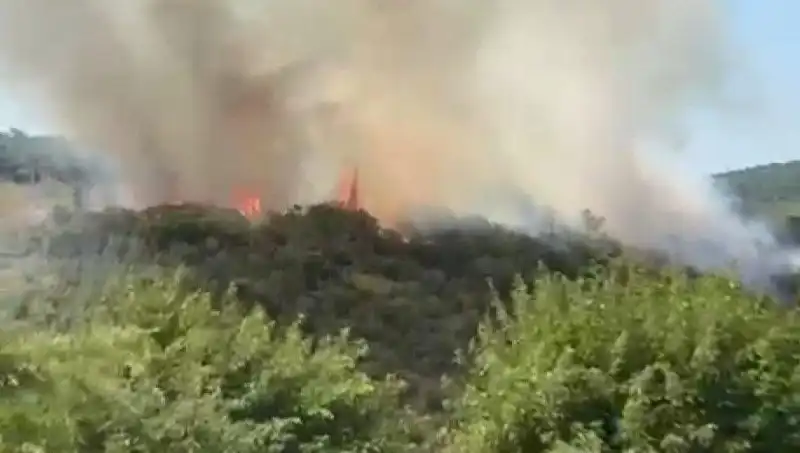 İstanbul’da Orman Yangını: Mahalleler Tahliye Ediliyor, Tedbirler Alınıyor