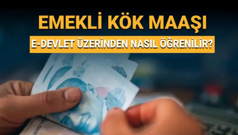 Kök Maaş Nedir? Öğrenmek ve Hesaplamak İçin Bilmeniz Gerekenler