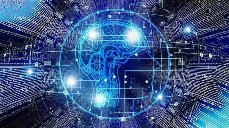 Kripto Para Dolandırıcılığı Alarmı: “Bot Sürüsü” Ortaya Çıktı!