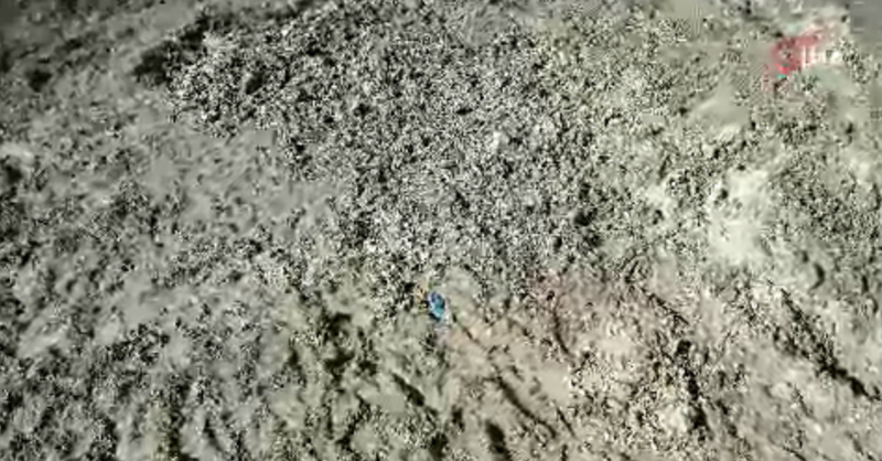 İstanbul'da Kaybolan Çinli İş İnsanının Cesedi Toprağa Gömülü Halde Bulundu