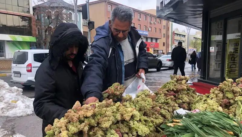 Kendiliğinden Yetişen Mucize: Kanserle Mücadelede Yeni Umut!
