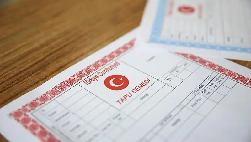 100 Milyonluk Hisseli Tapu Dolandırıcılığı: Detaylar Şok Edici!