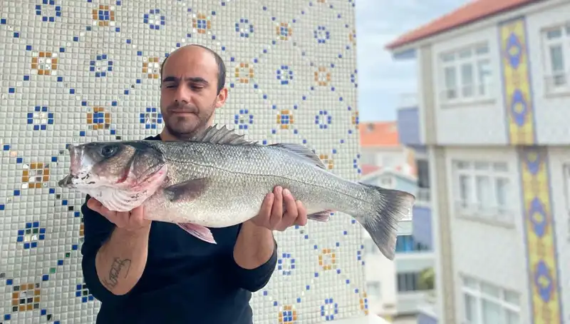 7.5 Kiloluk Dev Levrek Avı, Balıkçılara Yeni Bir Rekor Getirdi!