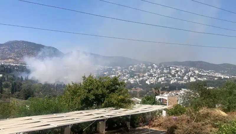 Muğla Orman Yangınları Kontrol Altına Alındı: Son Durum ve Gelişmeler