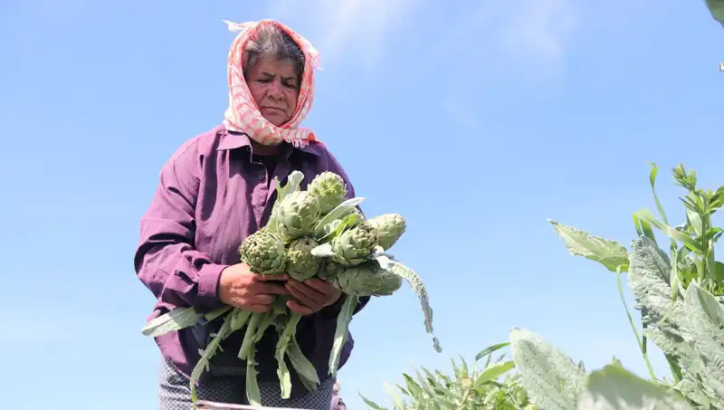 Yerel Üreticiden Sofralara: Fiyatı 50 TL Olan Organik Ürünler