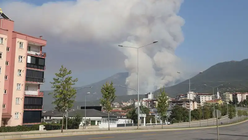 Denizli'de Orman Yangını: Şüpheli Gözaltında, Yangının Sebebi Araştırılıyor