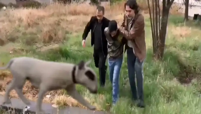 Değerli Şampiyon Köpeği Çalan Hırsız Geceyi Zindanda Geçirdi