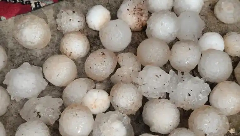 Şanlıurfa’da Şok Etkisi Yaratan Kar Topu Büyüklüğünde Dolu Yağışı