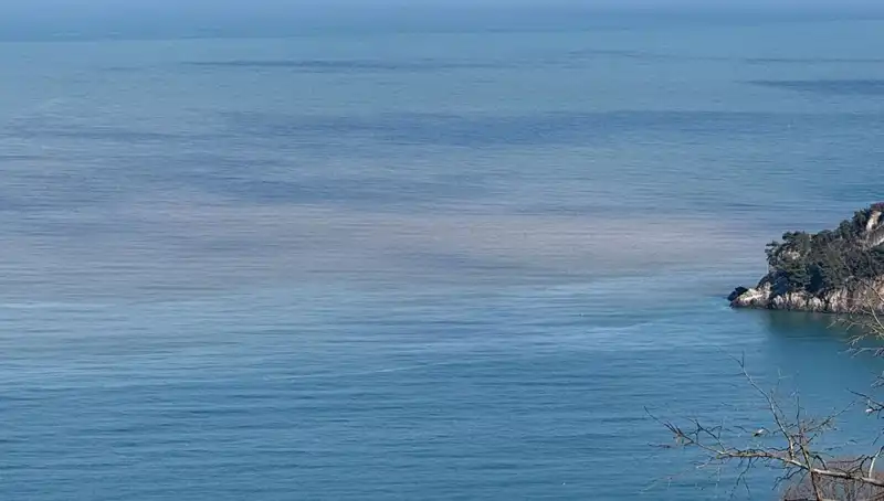 Bartın Irmağı'ndan Akan Çamurlu Su, Denizin Rengini Nasıl Değiştirdi?