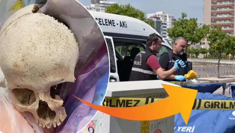 Sitede Bulunan Kafatasının Gizemi ve Gözaltına Alınan Uzman Doktor